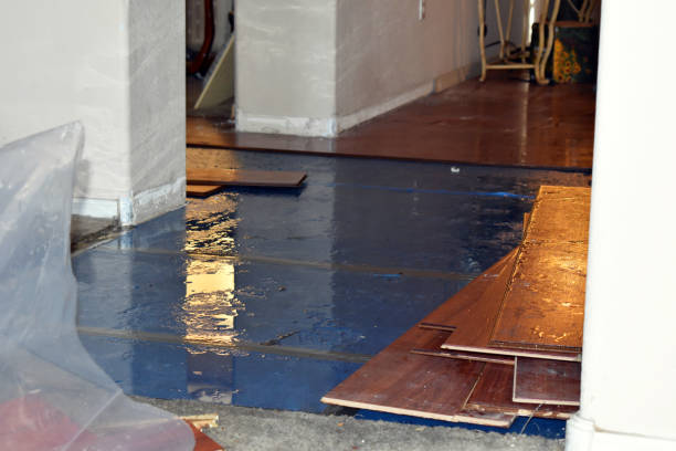 Professional Water Extraction technician working in Bath, MI